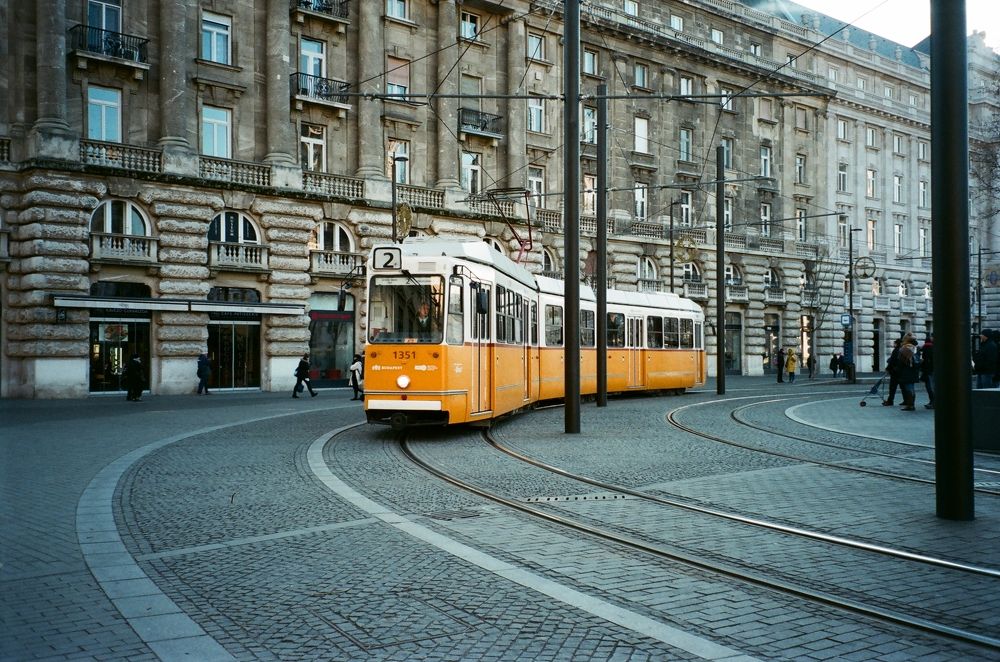 Photograph by Aleksandra Gribowskaya
