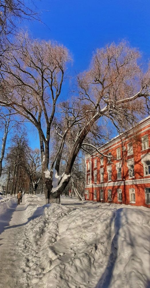 Мороз и солнце