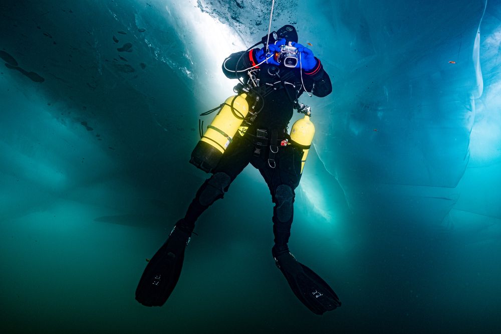 Photograph by Дмитрий Плотников