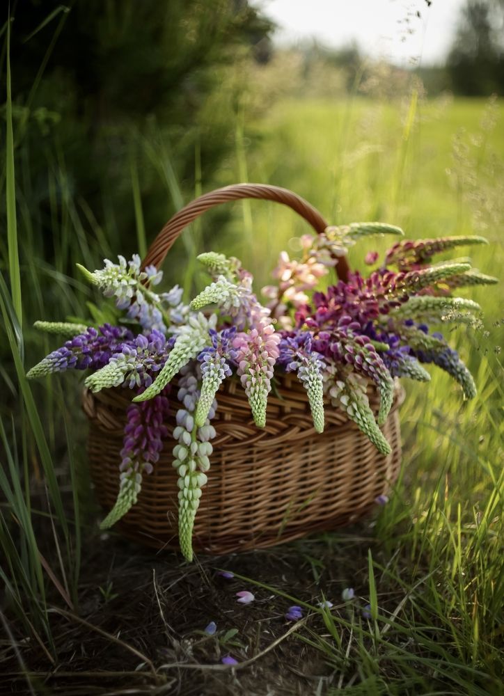 Photograph by Татьяна Кытина