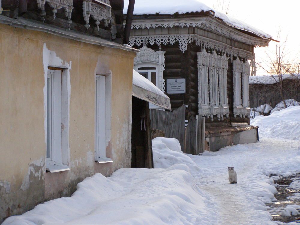 Photograph by Ирина Вассерлауф