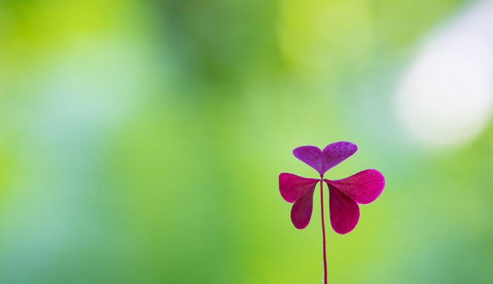 Макро Минимализм