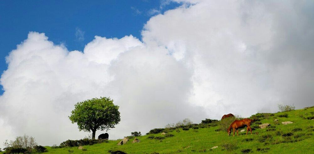 Photograph by Keyvan Sh.