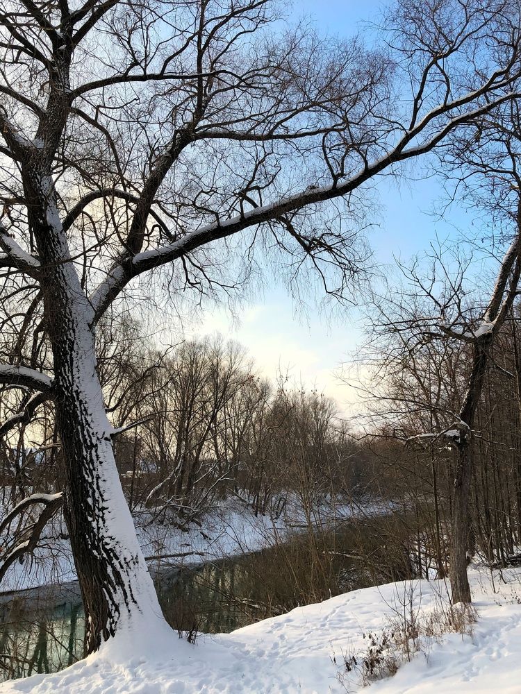 Photograph by Диана Гювенч