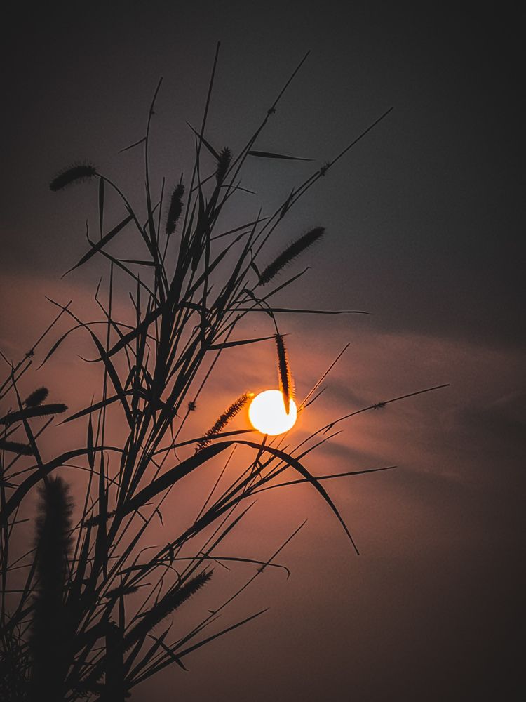 Photograph by Badal Khatiwara