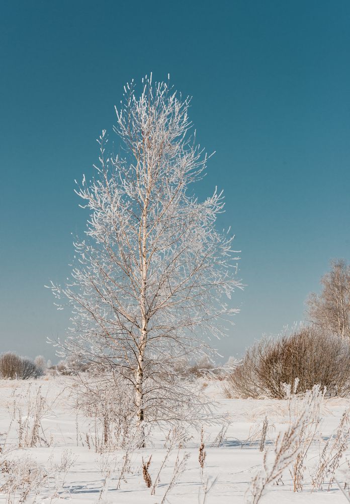 Photograph by Анна Никольская