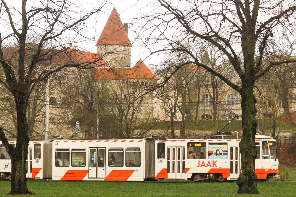 Photograph by Елизавета Шмагина