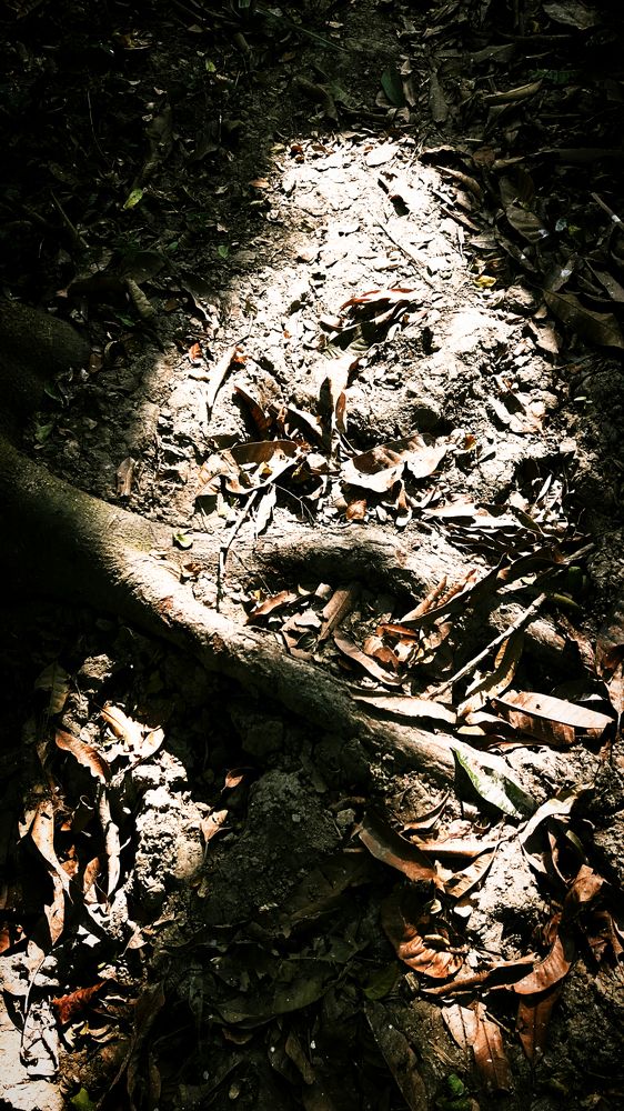 Photograph by DEBADRITA BISWAS Jain