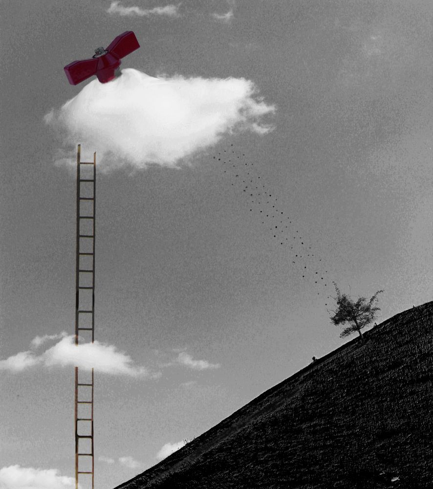 Photograph by Nargiz