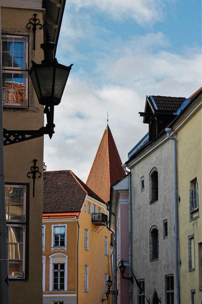 Photograph by Елизавета Шмагина