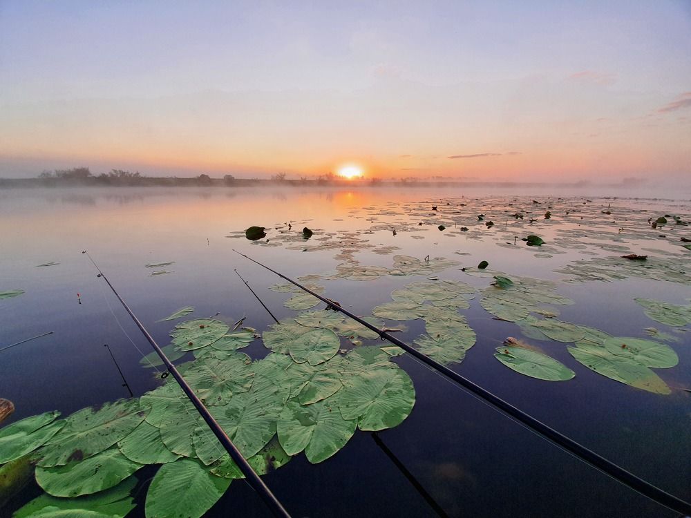 Photograph by Антон Жирнов