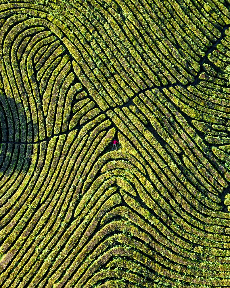 Photograph by Скалин Алексей