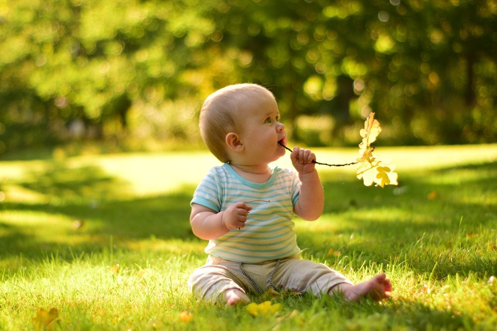 Photograph by Tatiana Toritcyna