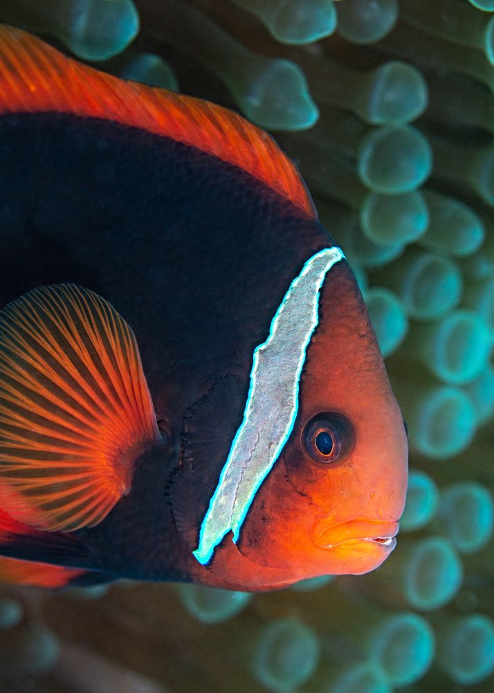 Photograph by Тетяна Тарасенко