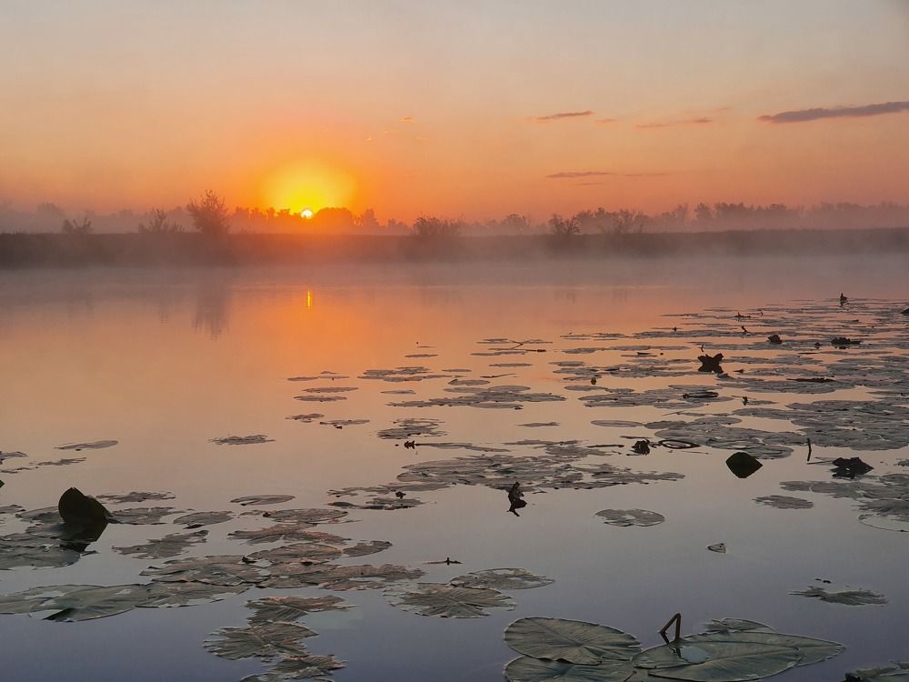 Photograph by Антон Жирнов