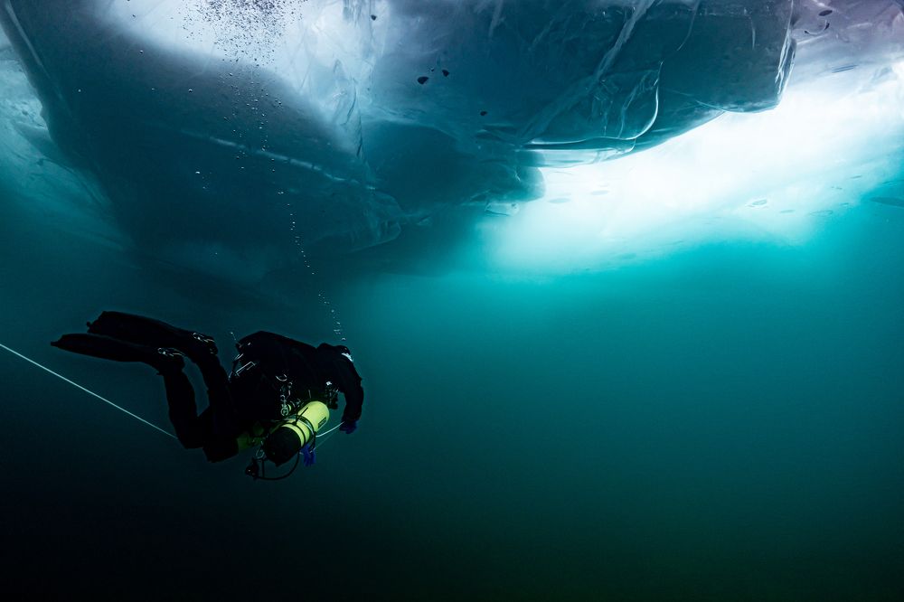 Photograph by Дмитрий Плотников