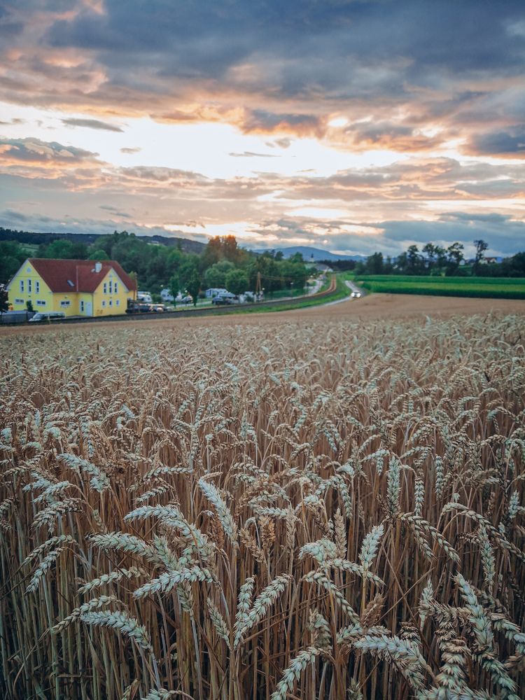 Photograph by Irina Moser