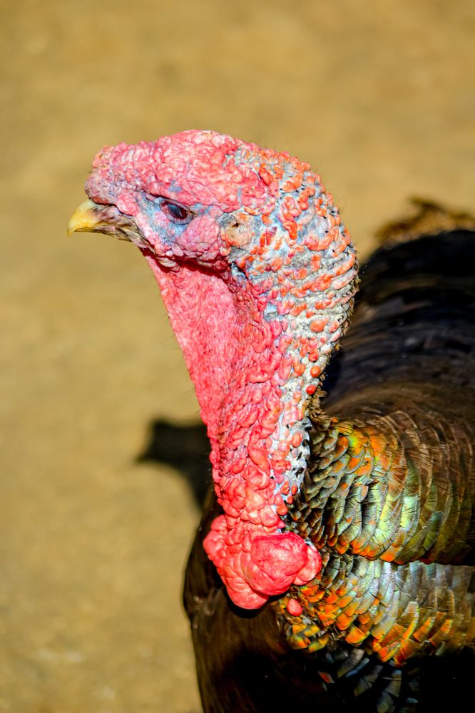 Photograph by Michel mulhuijzen