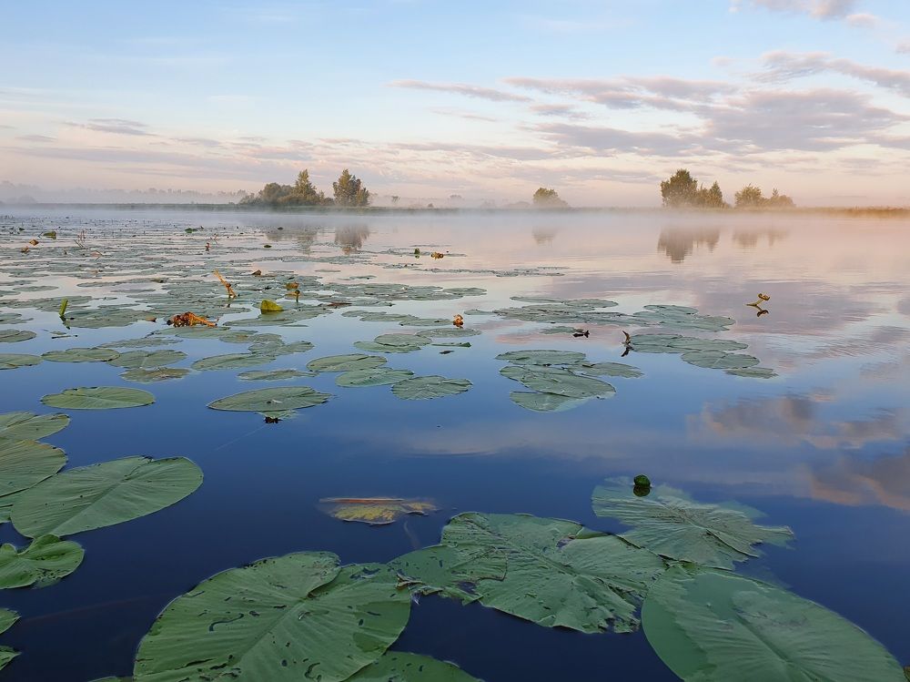 Умиротворение