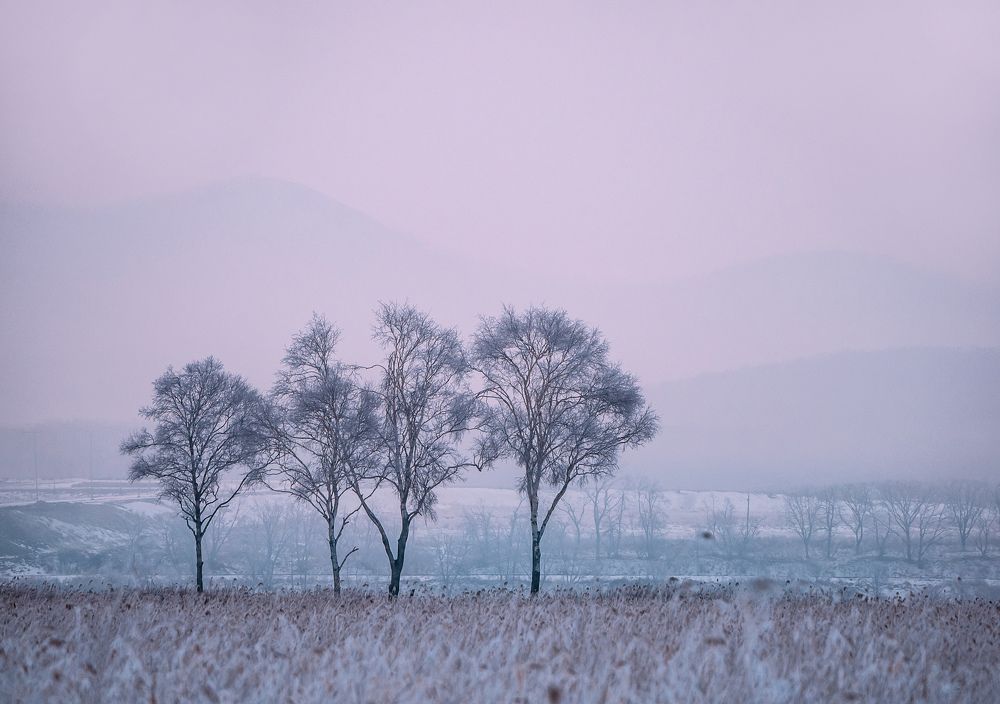 Photograph by Матвей Матвеев