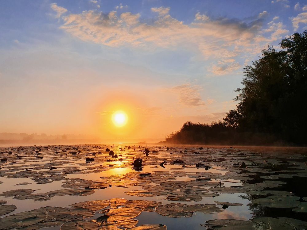 Photograph by Антон Жирнов