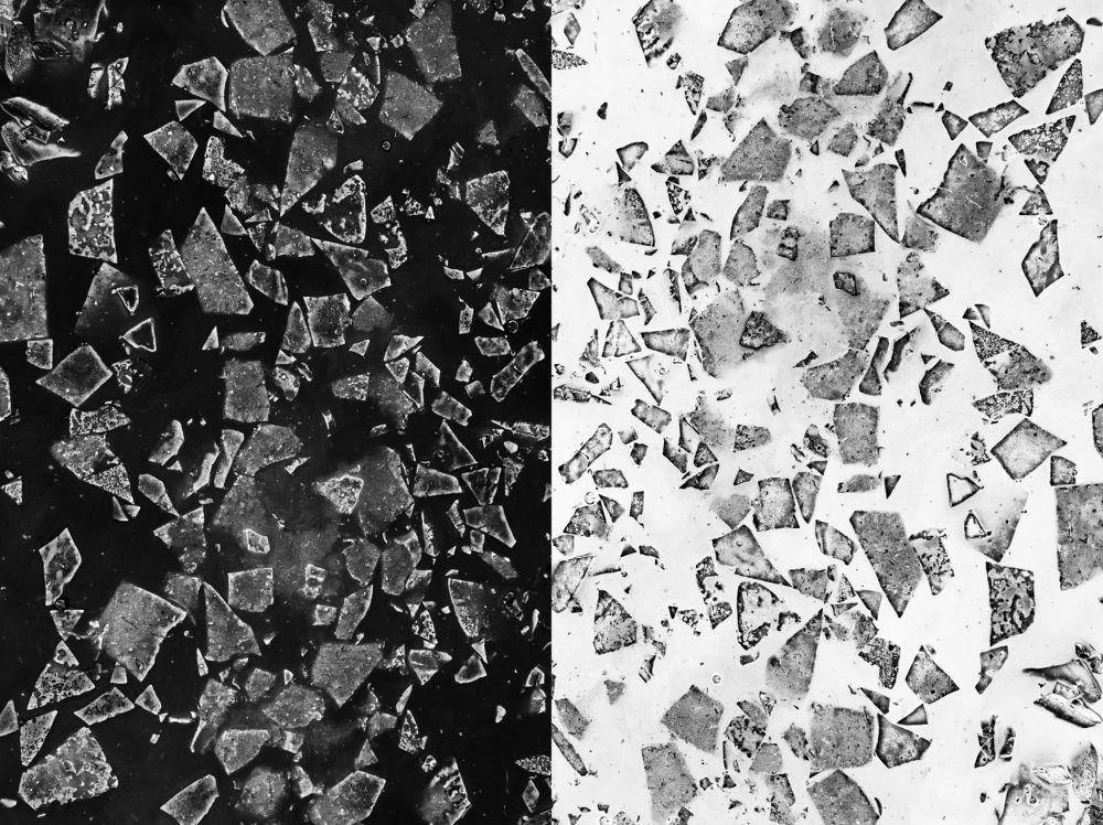 Photograph by Jakub Pasierkiewicz