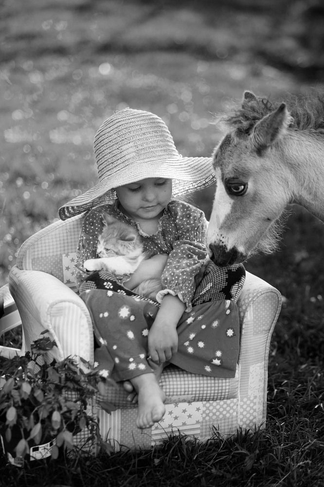 Photograph by Renate Tompsone