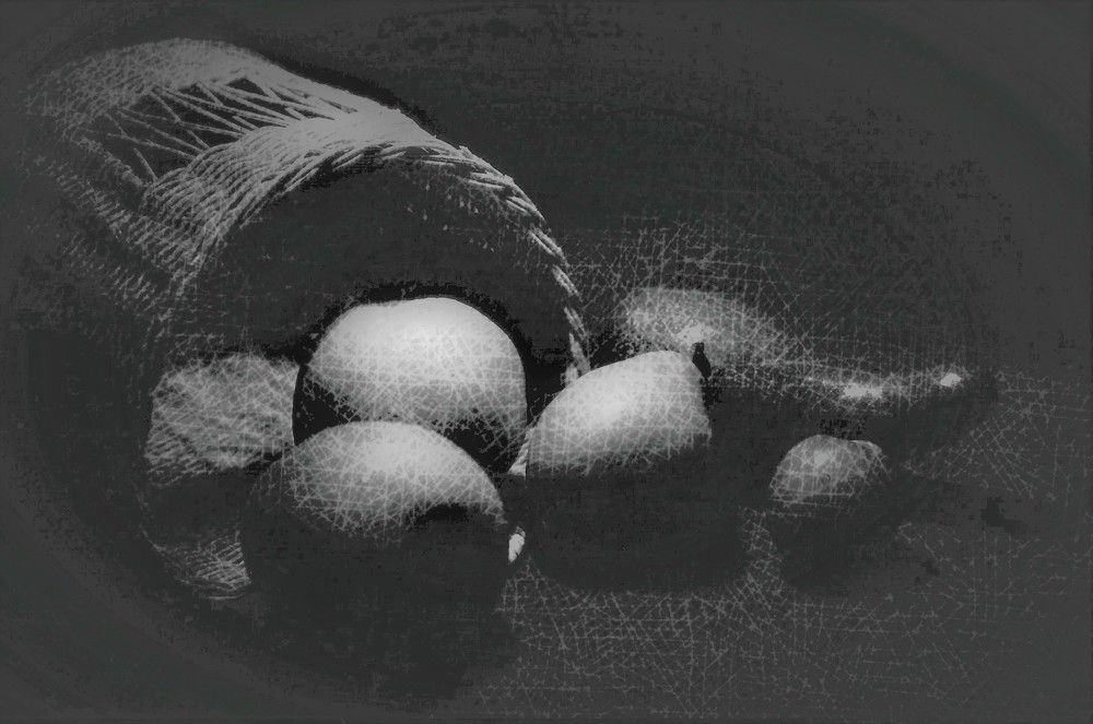 Photograph by Domingo Herras