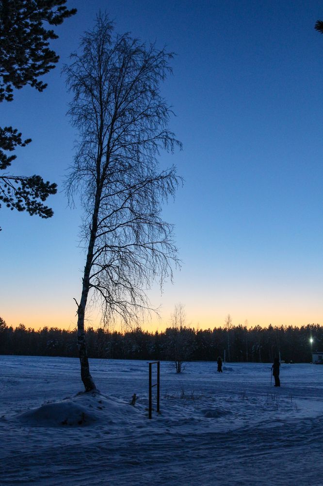 Photograph by Анна Дорофеева