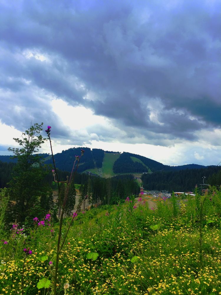 Буковель - 2020