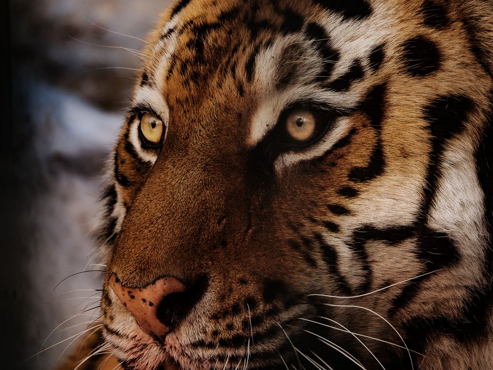 Photograph by Матвей Матвеев