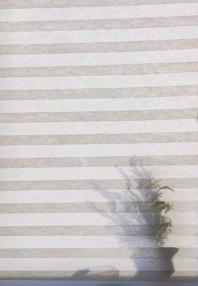 Photo #5889567