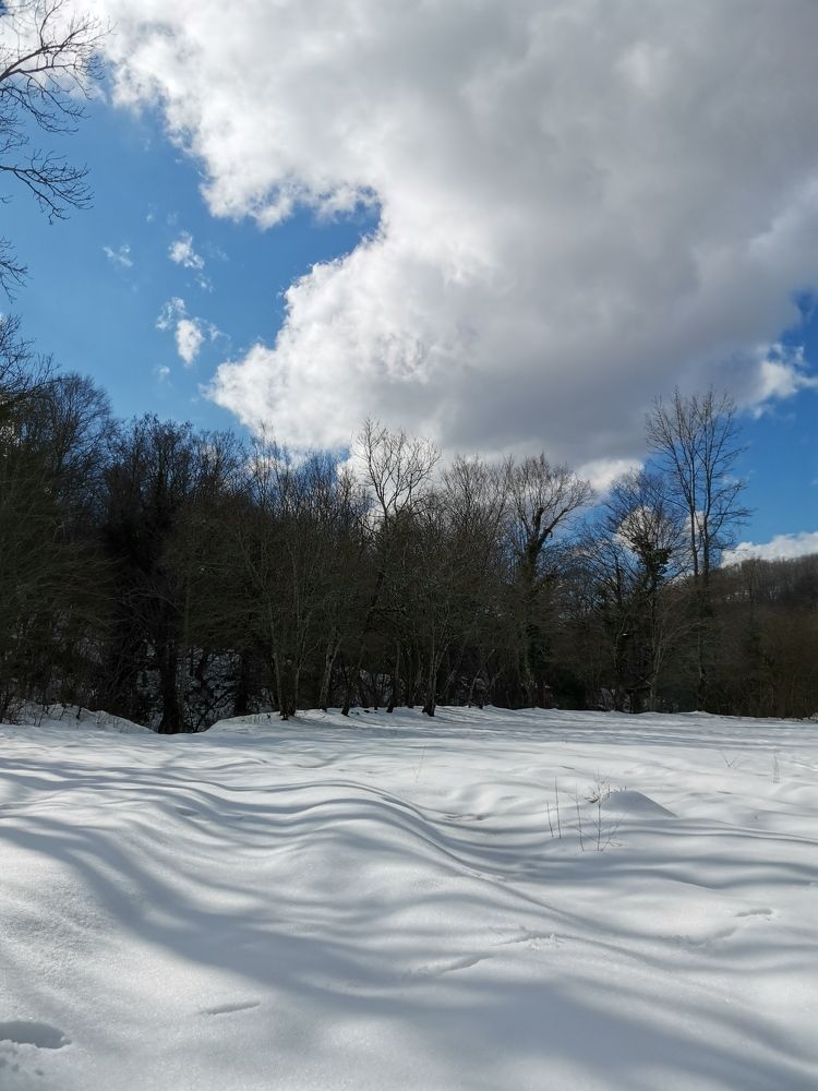 Photograph by Марина Иванова