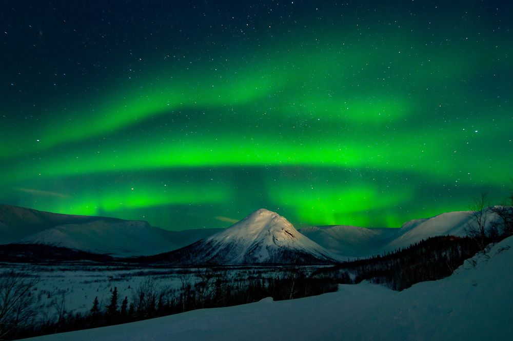 Фотография автора Григорий Ильин