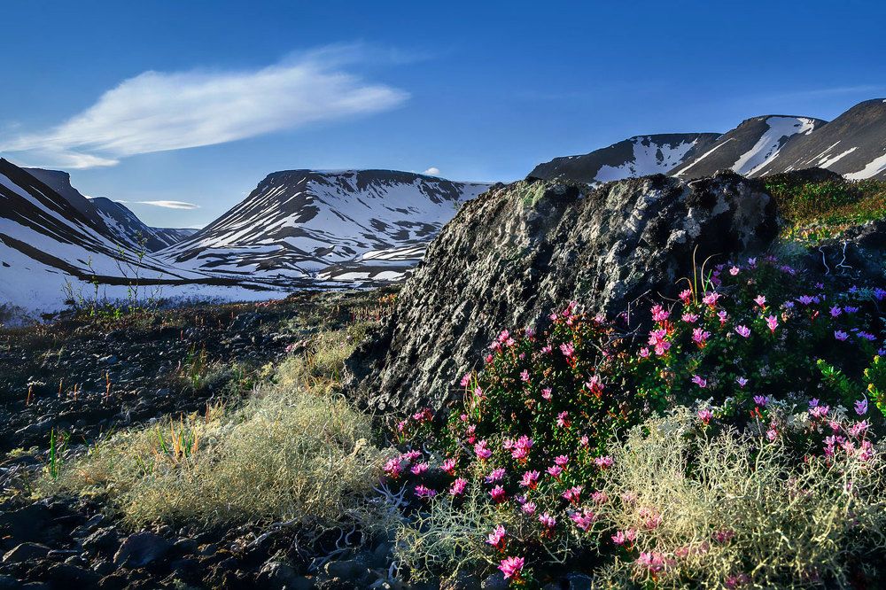 Фотография автора Григорий Ильин