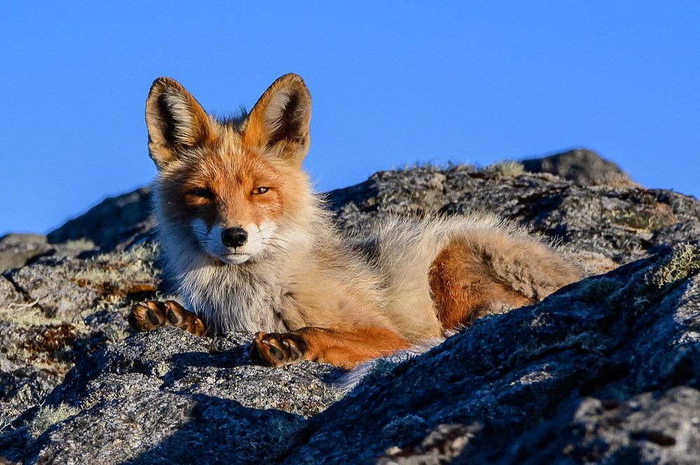 Фотография автора Григорий Ильин