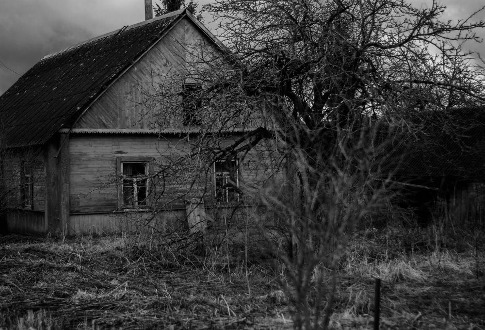 Photograph by Анастасия Матышева