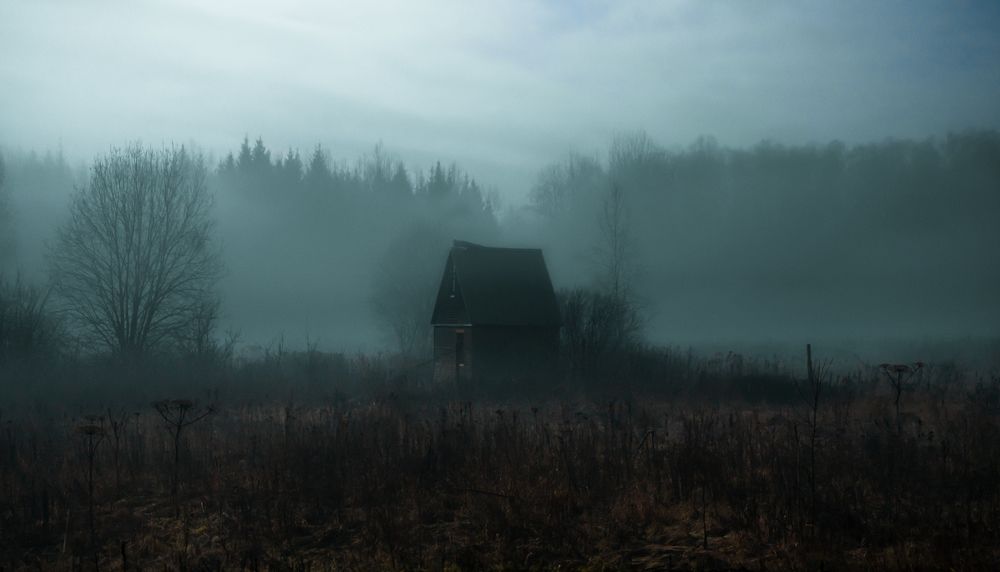 Photograph by Максим