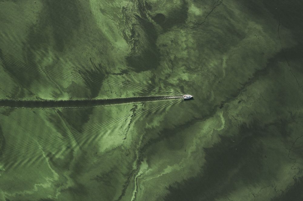 Photograph by Paweł Szpala