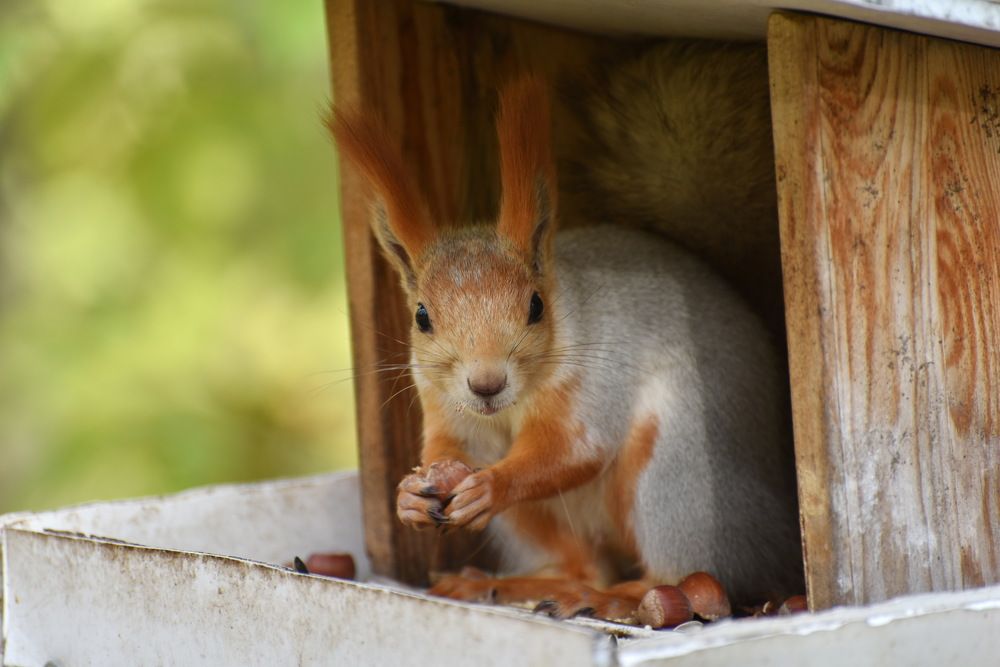 Поделиться? Ну, уж нет!