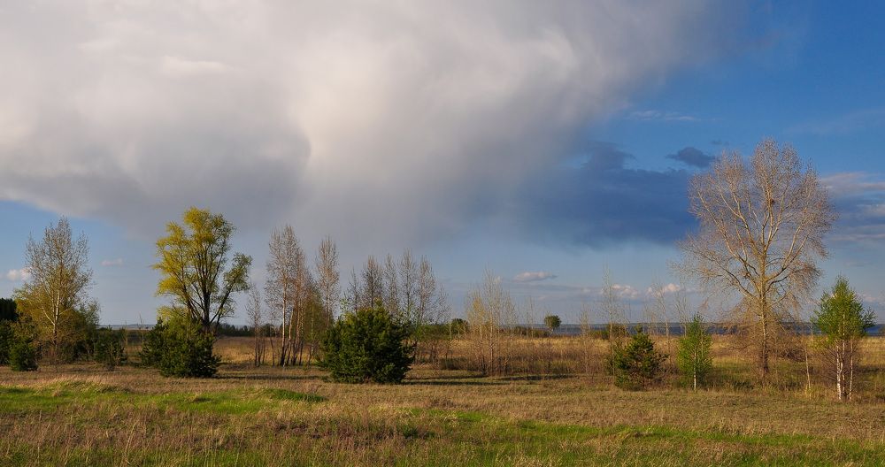 Скоро весна