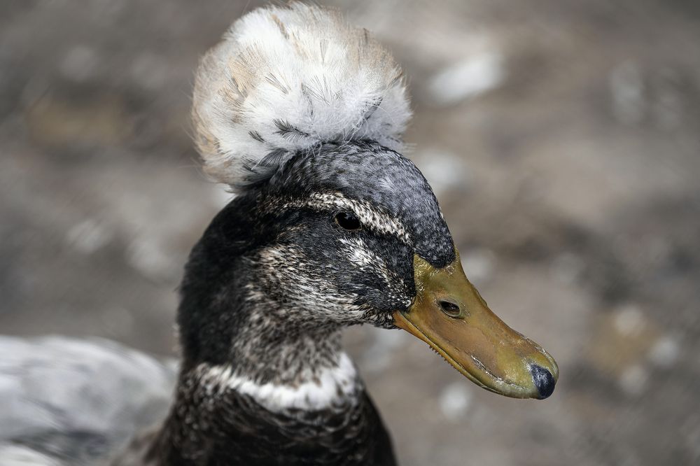 Photograph by Армен Майтесян