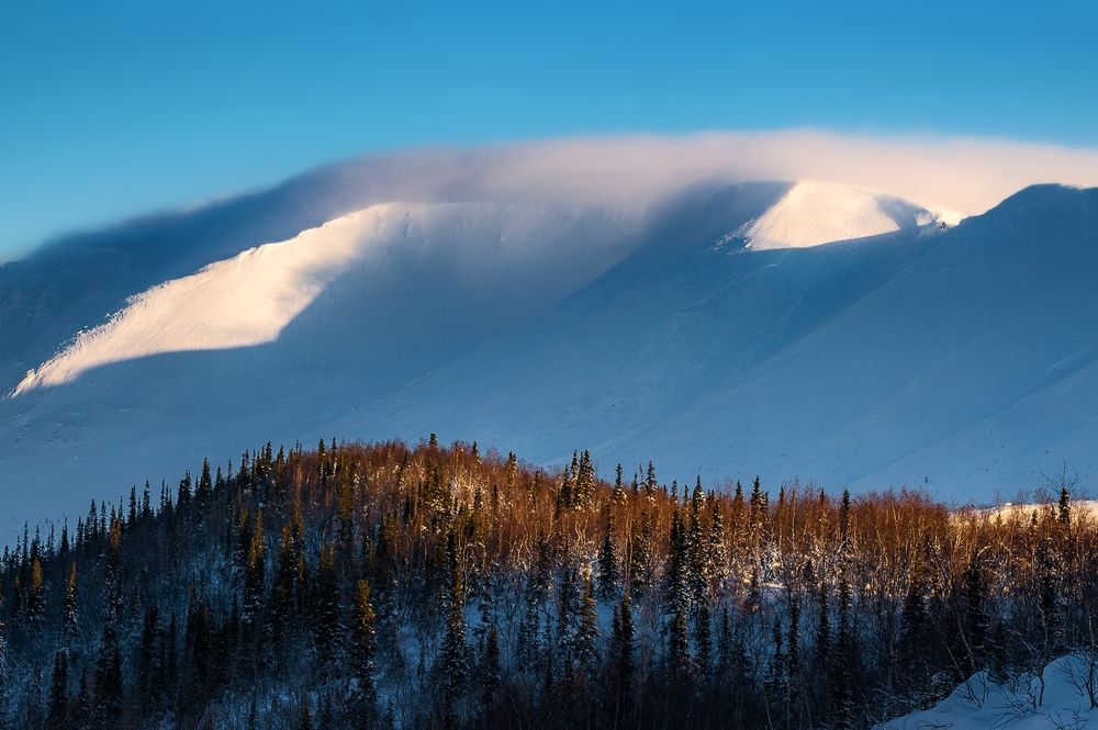 Фотография автора Григорий Ильин