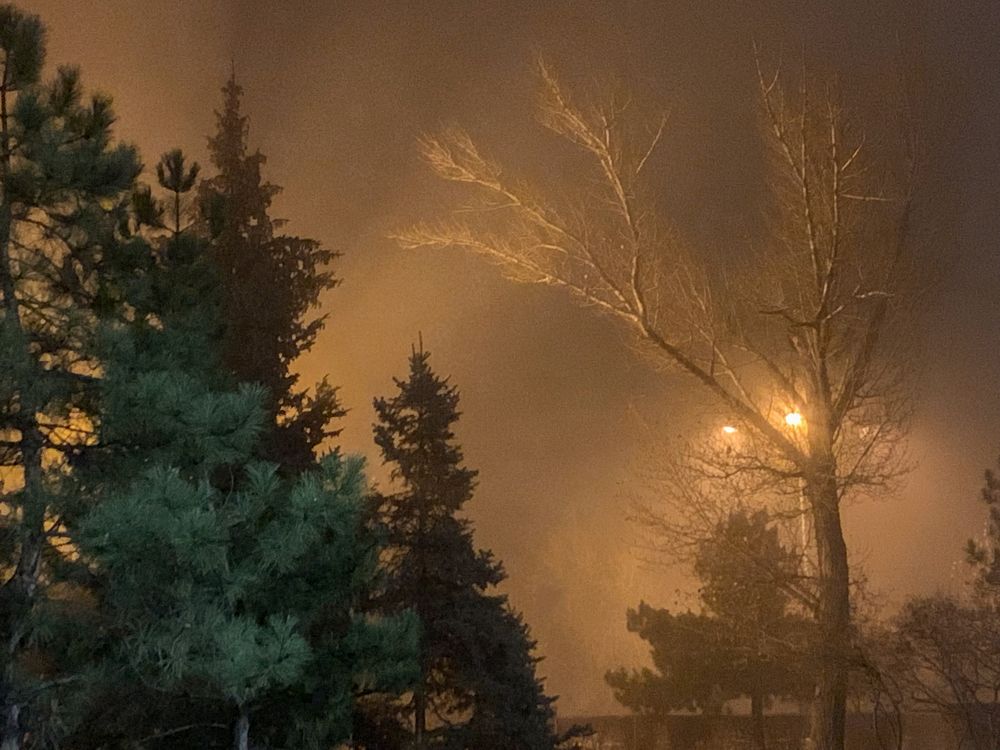 Photograph by Полина Галянина