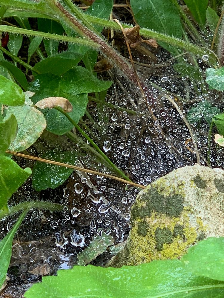 Photograph by Полина Галянина