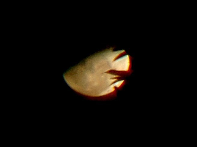 The Night Moon.