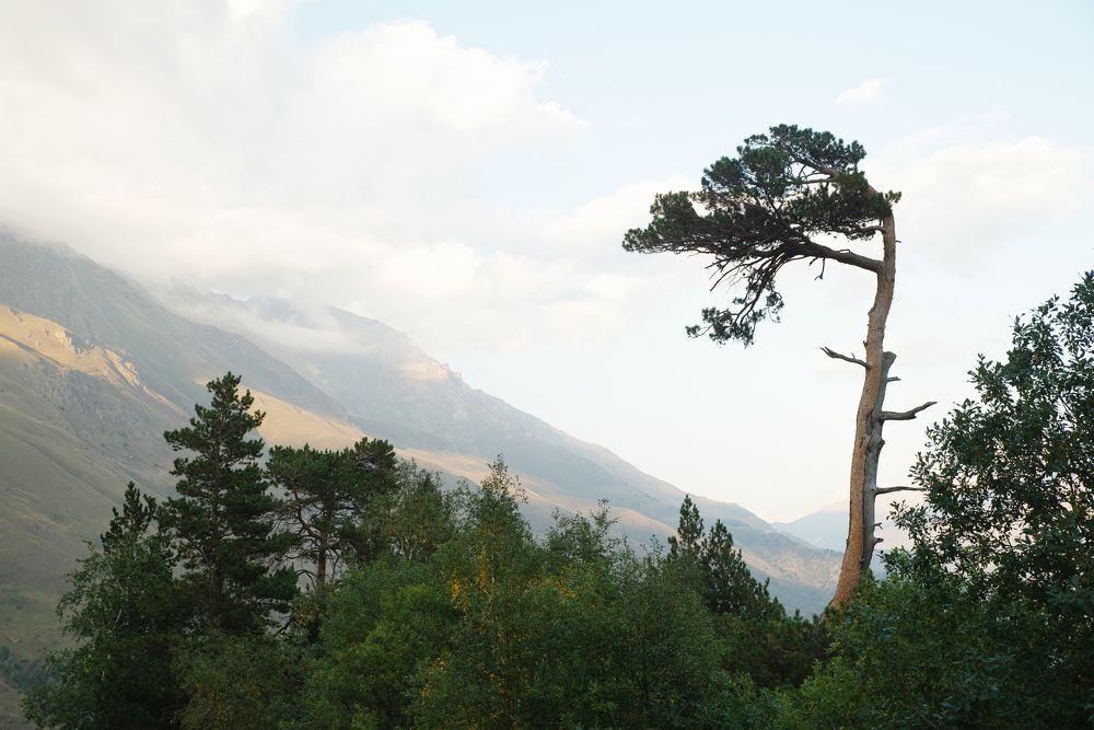 Photograph by Natalie Lamm