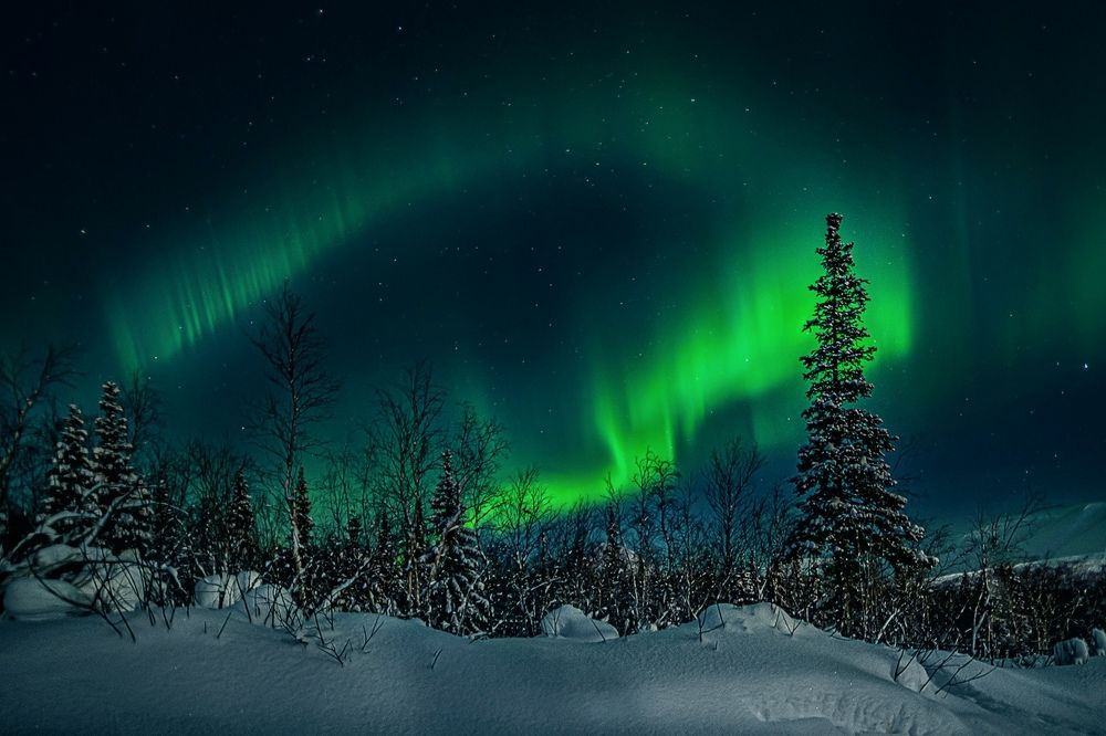 Фотография автора Григорий Ильин