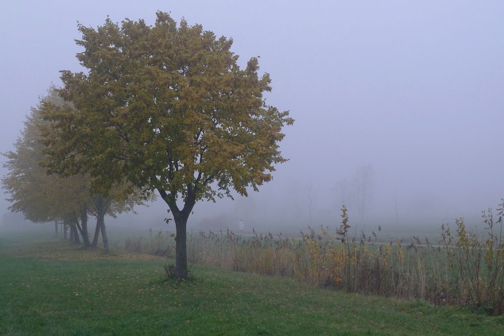 Photograph by Харис Шахмаметьев