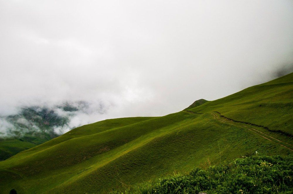Photograph by Надежда Тенетко